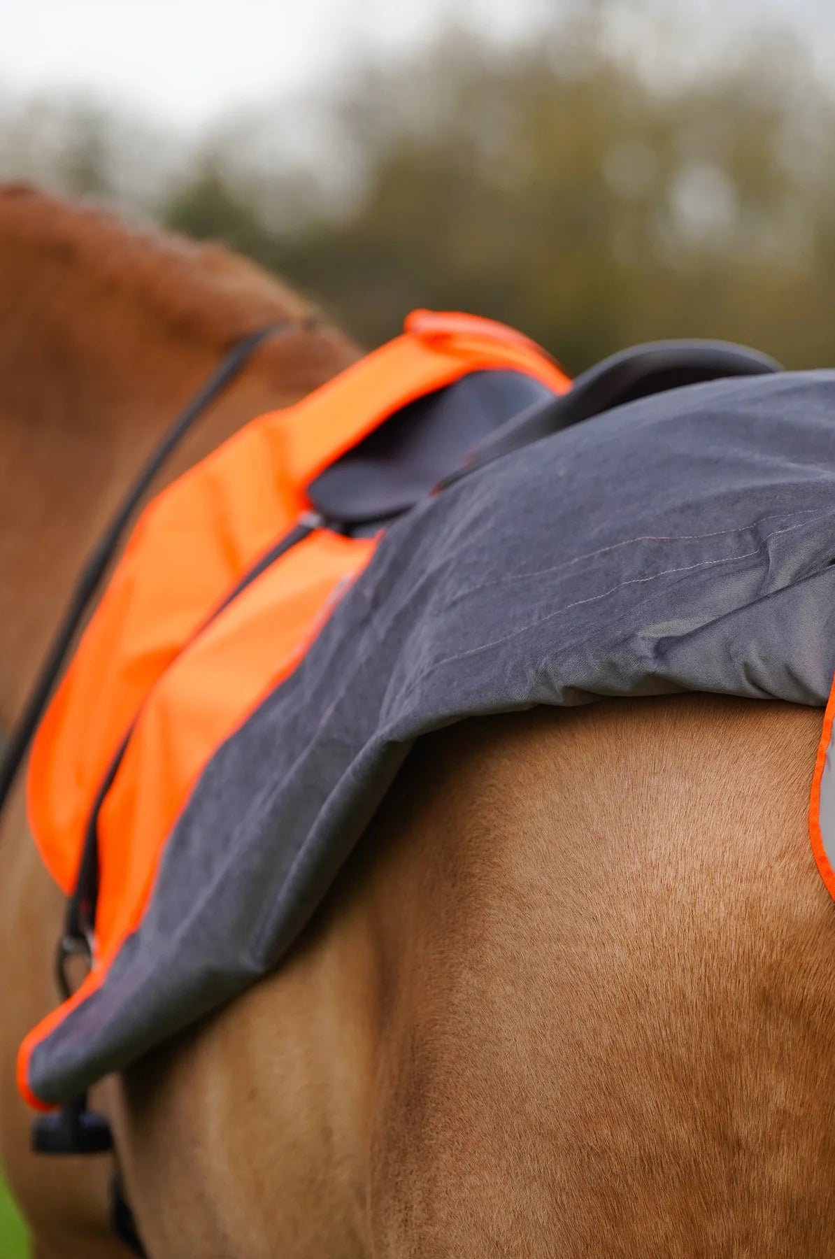 Orange hi viz reflected waterproof exercise sheet rug (Copy)