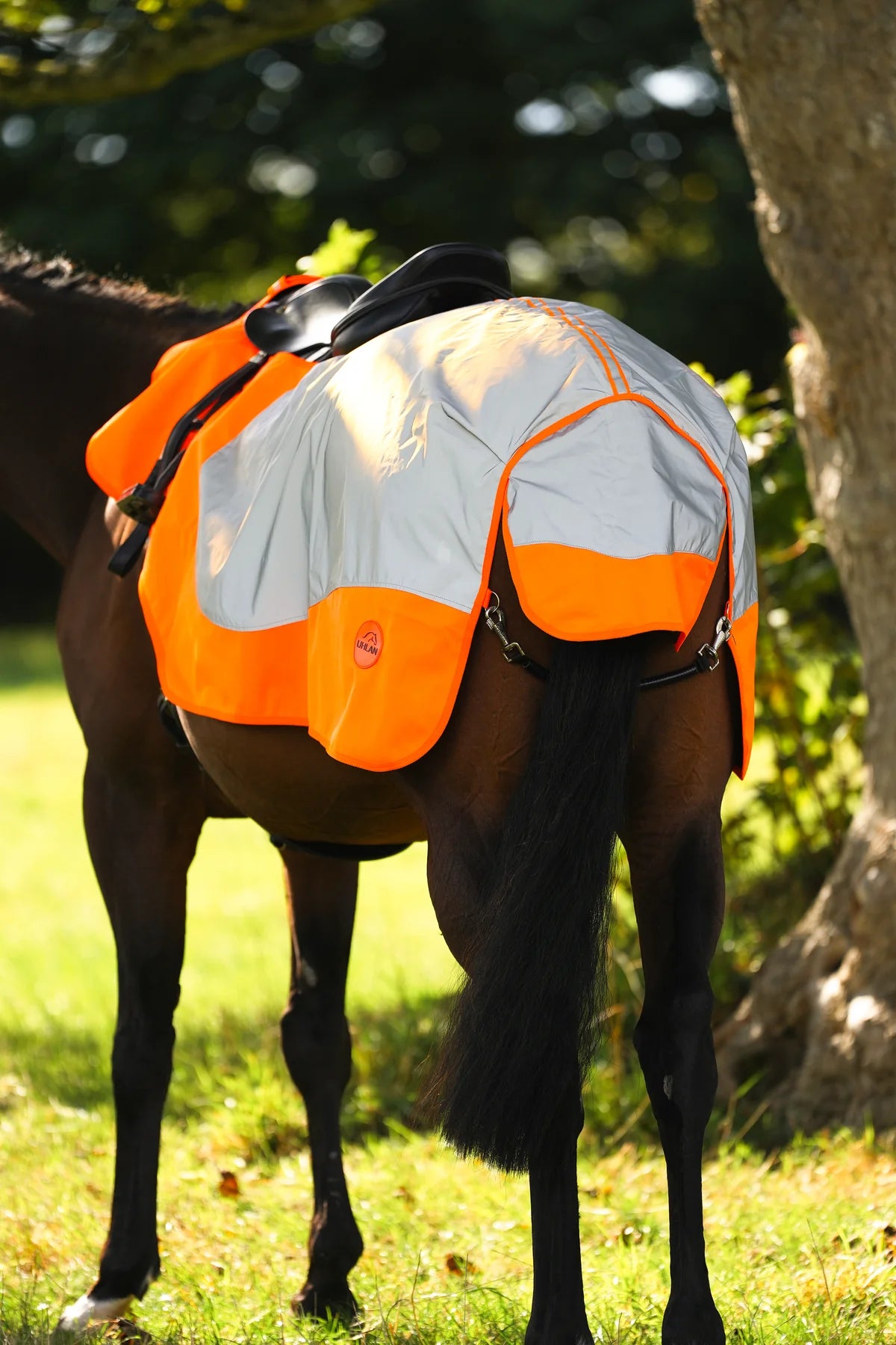 Orange hi viz reflected waterproof exercise sheet rug (Copy)