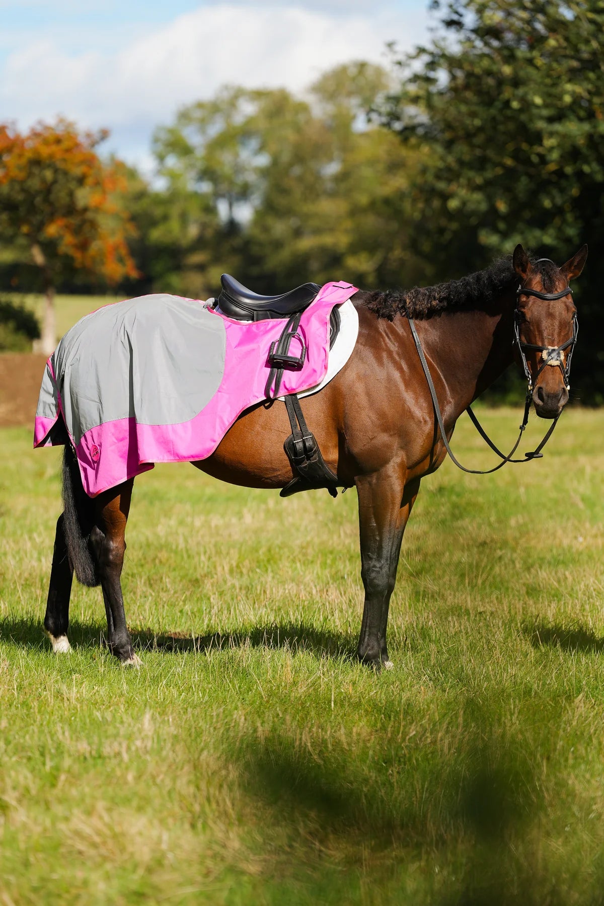 Pink hi viz reflected waterproof exercise sheet rug