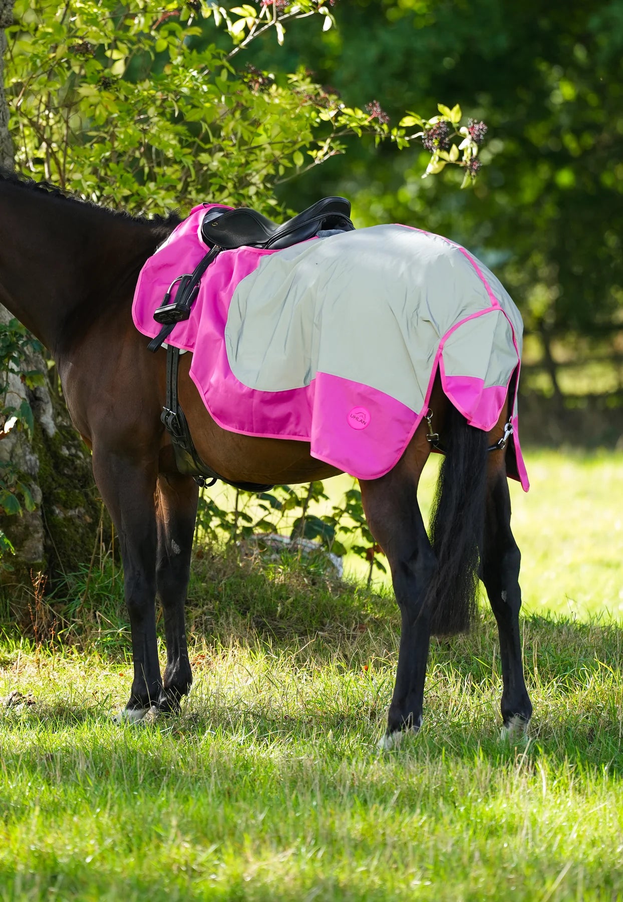 Pink hi viz reflected waterproof exercise sheet rug