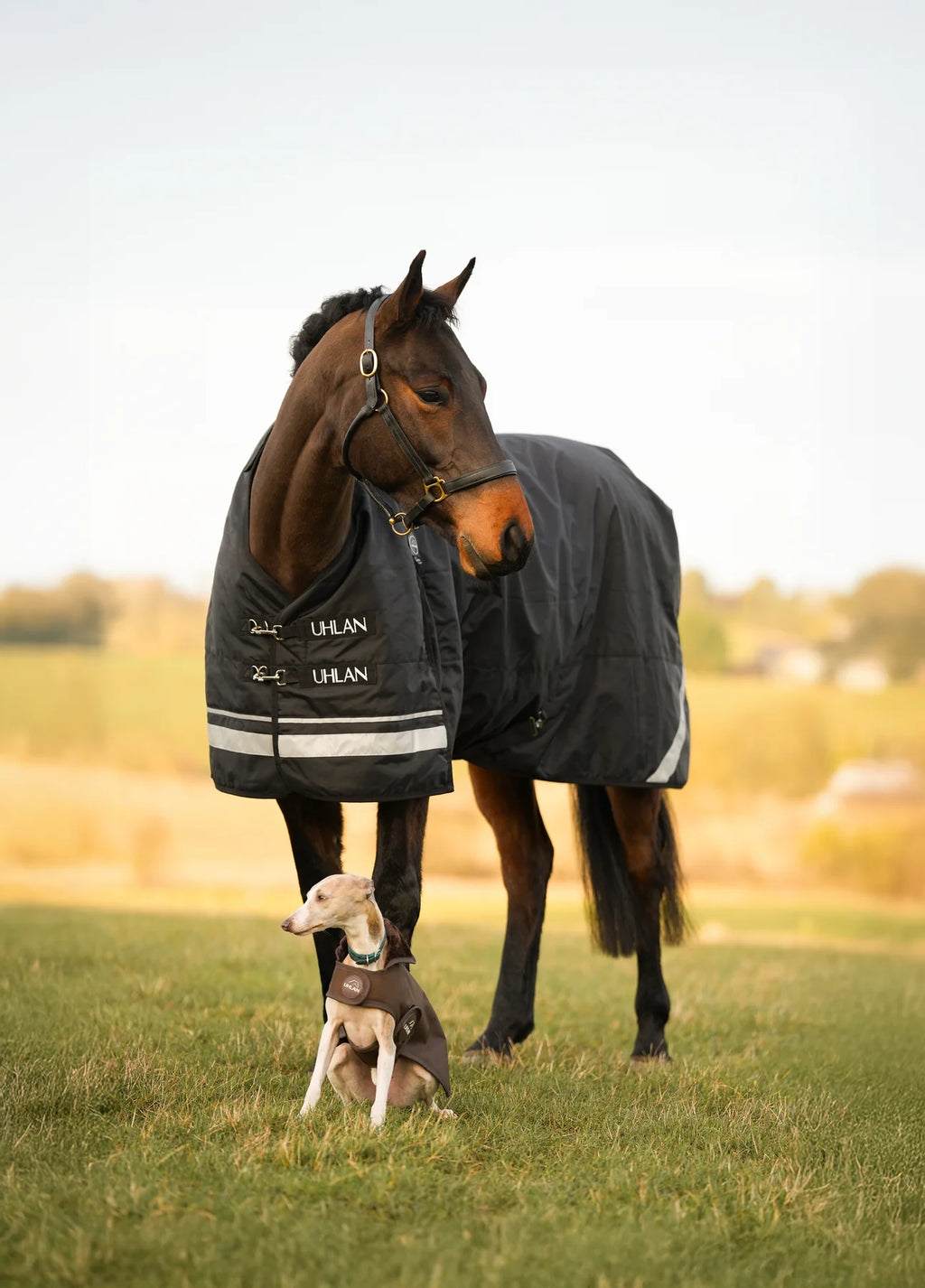 Uhlan Equestrian black faux fur lined turnout rug 1680D