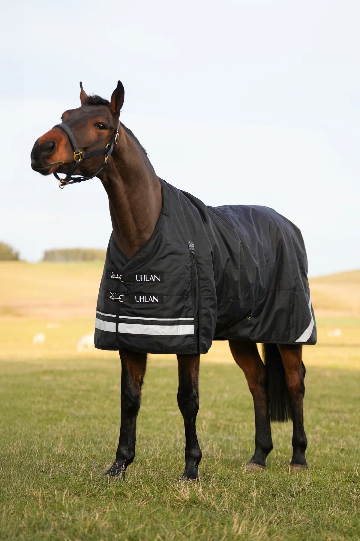 Uhlan Equestrian black faux fur lined turnout rug 1680D