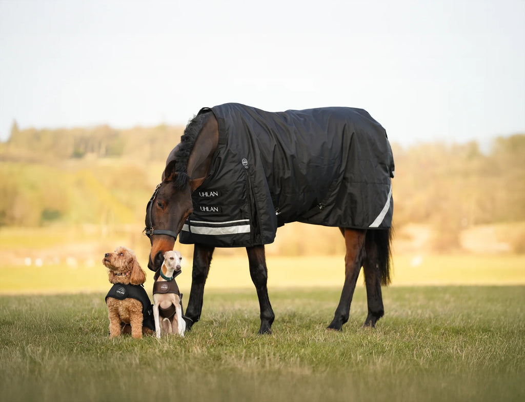 Uhlan Equestrian black faux fur lined turnout rug 1680D