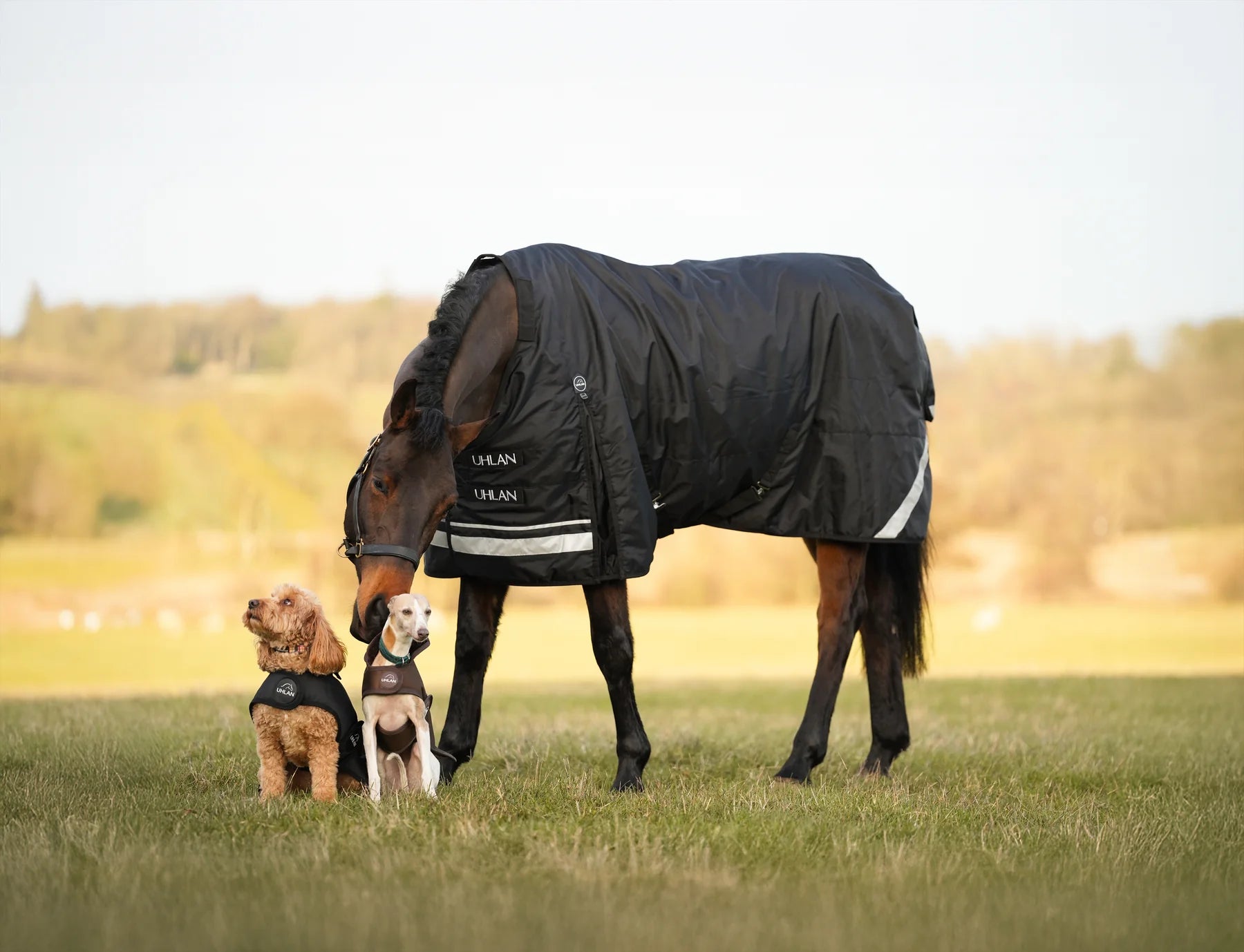 Uhlan Equestrian black faux fur lined turnout rug 1680D