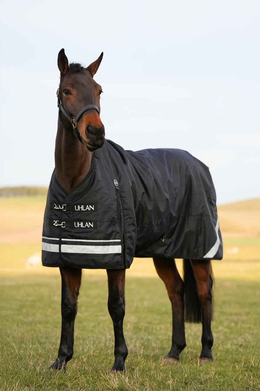 Uhlan Equestrian black faux fur lined turnout rug 1680D