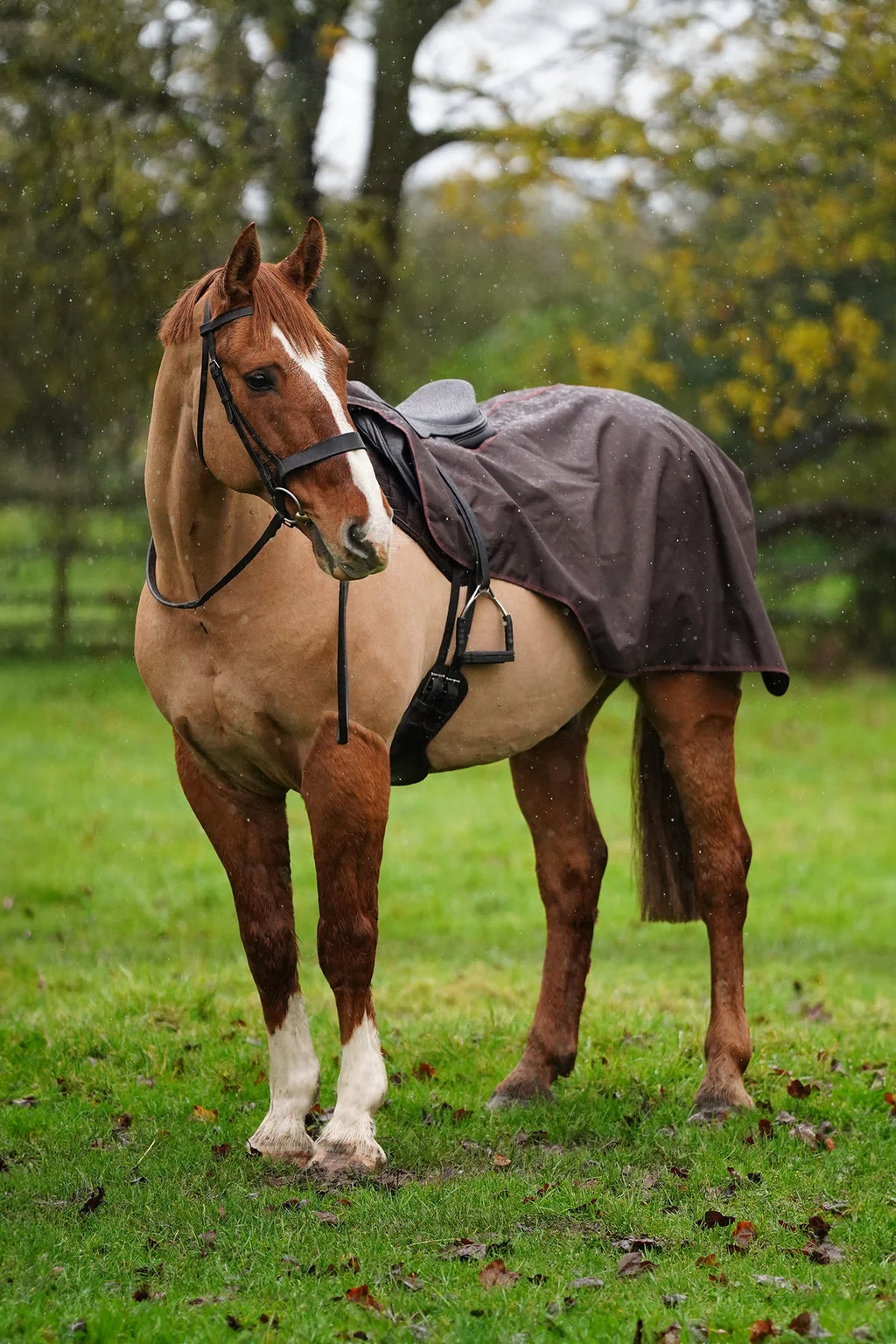Brown waterproof exercise sheet rug