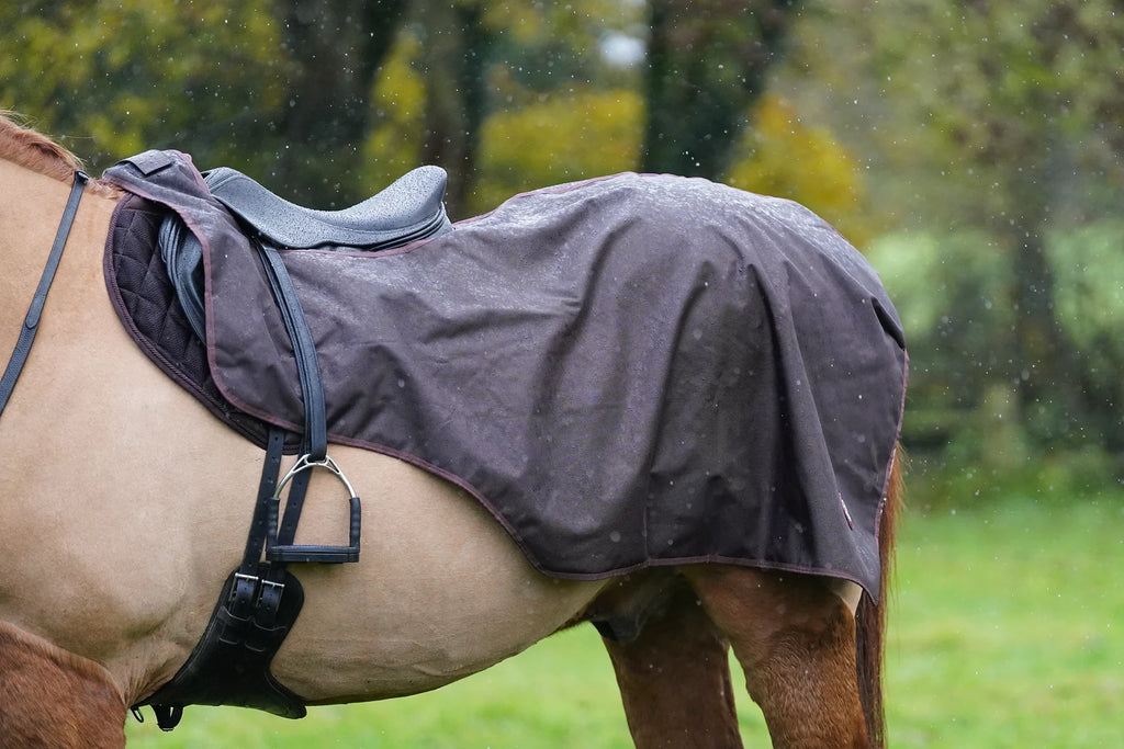 Brown waterproof exercise sheet rug