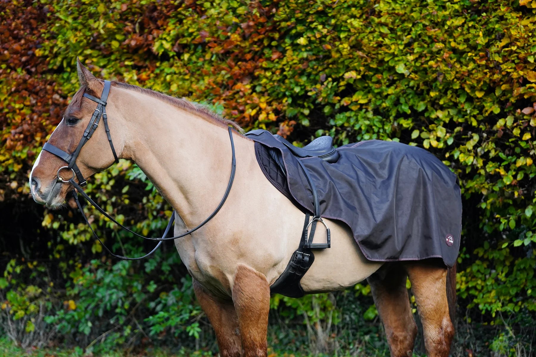 Brown waterproof exercise sheet rug