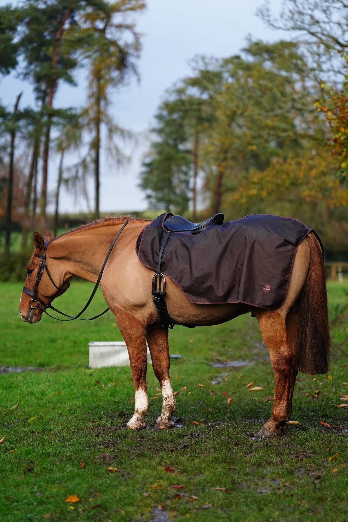 Brown waterproof exercise sheet rug