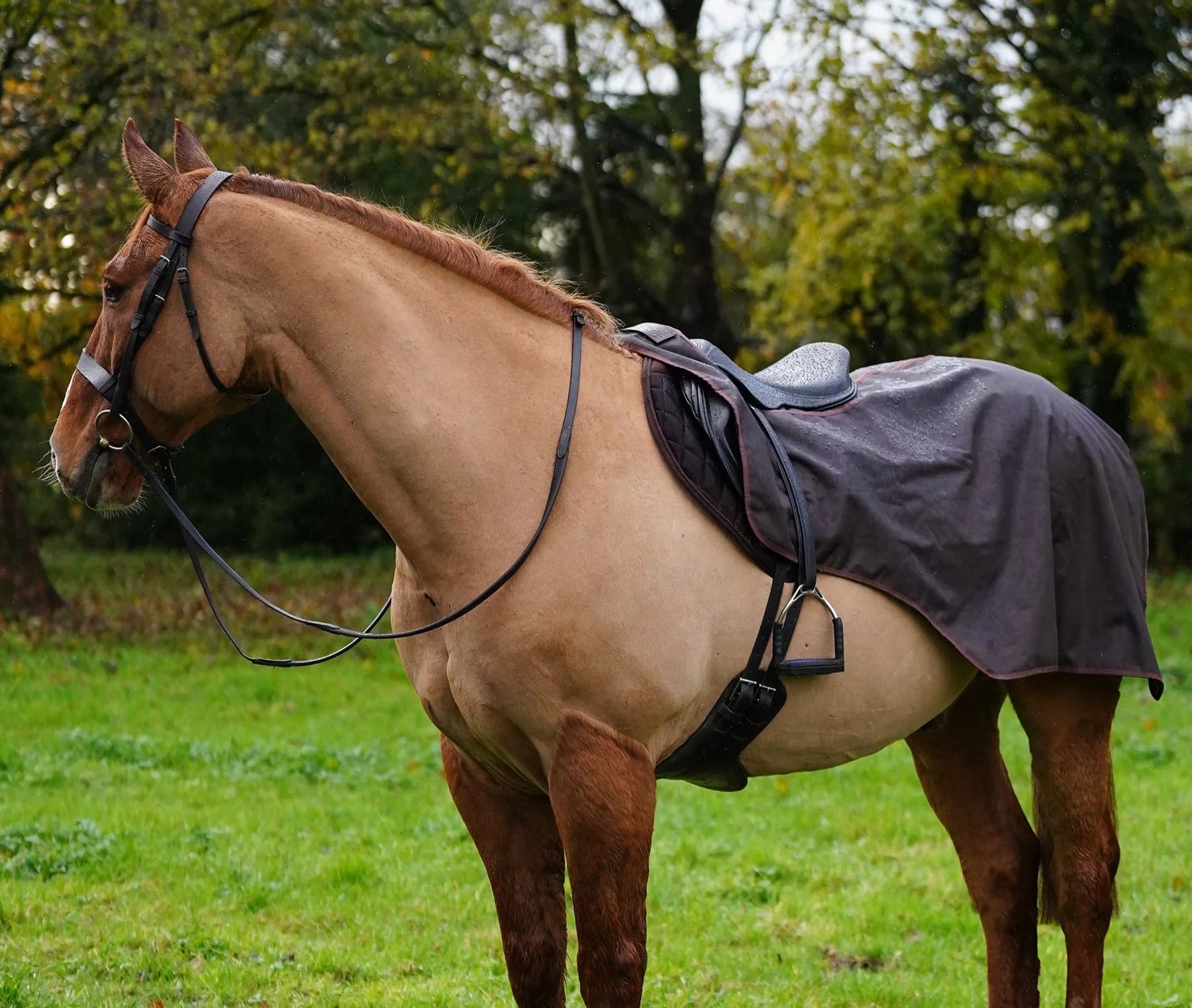 Brown waterproof exercise sheet rug