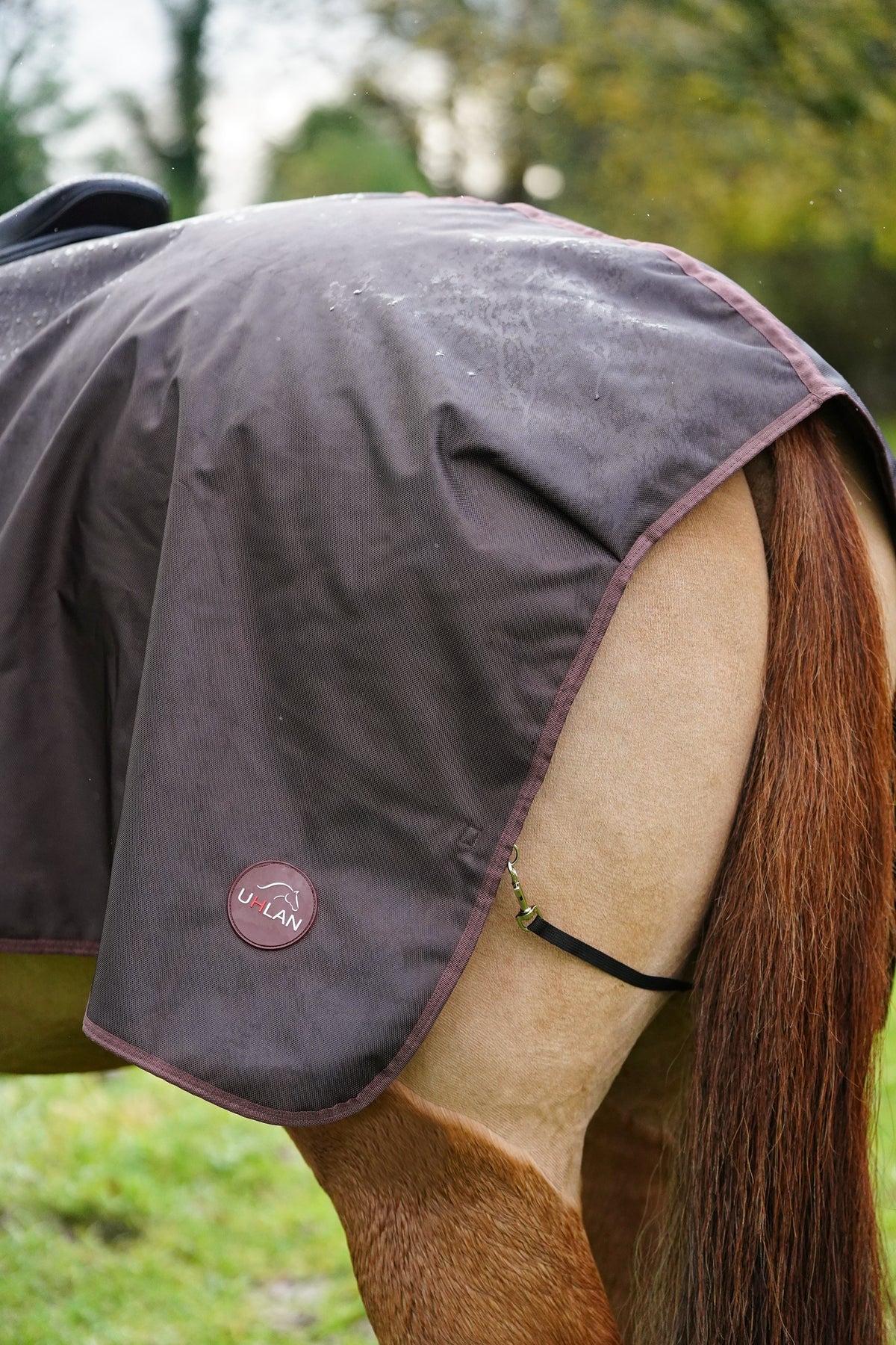 Brown waterproof exercise sheet rug
