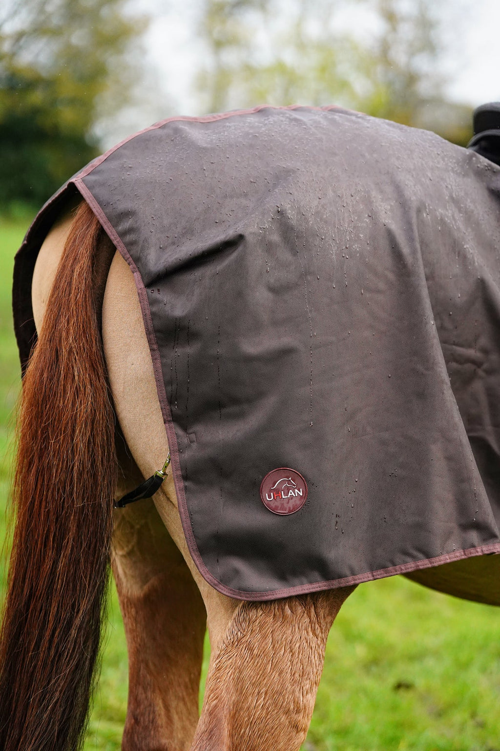 Brown waterproof exercise sheet rug