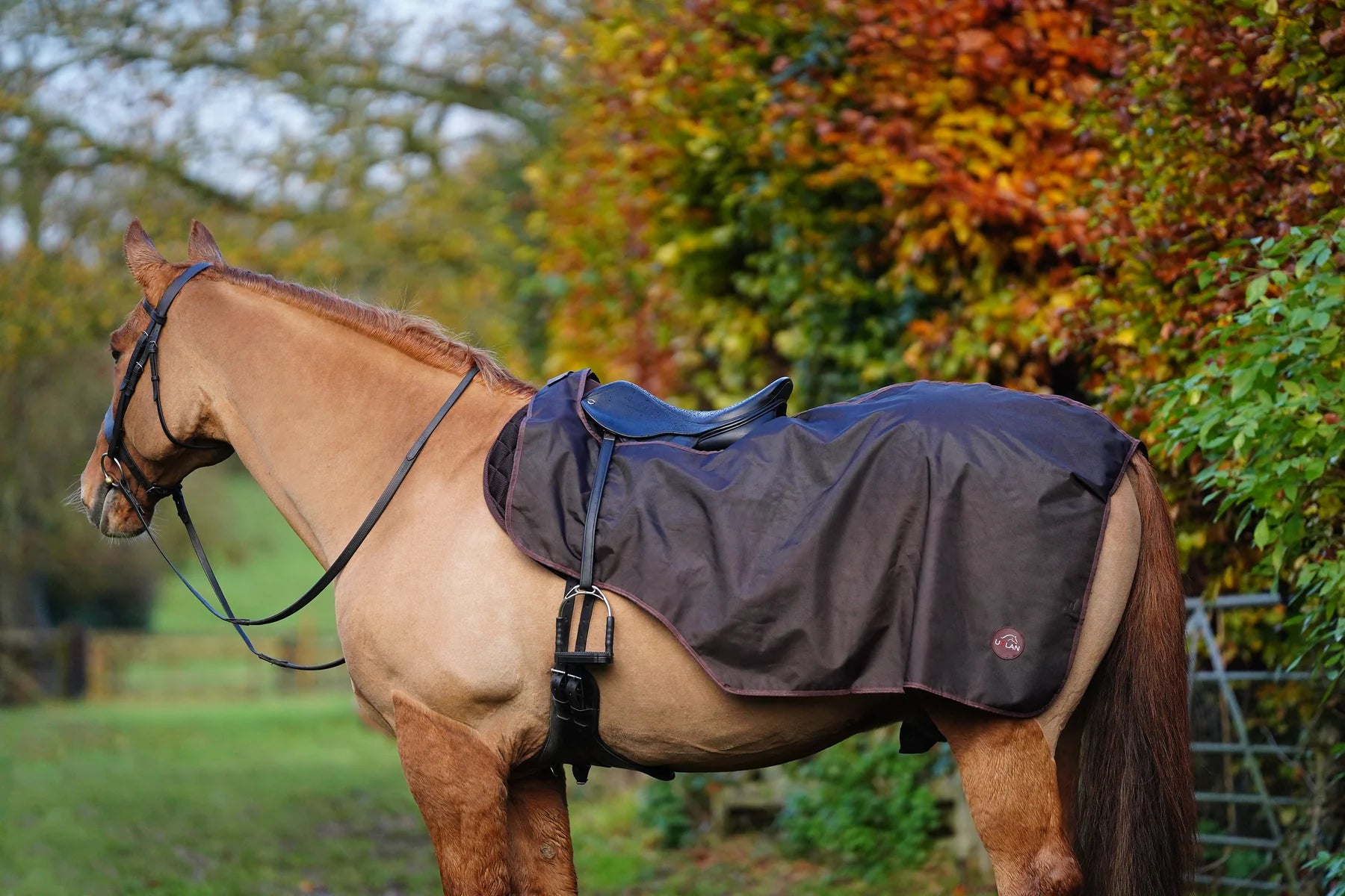 Brown waterproof exercise sheet rug