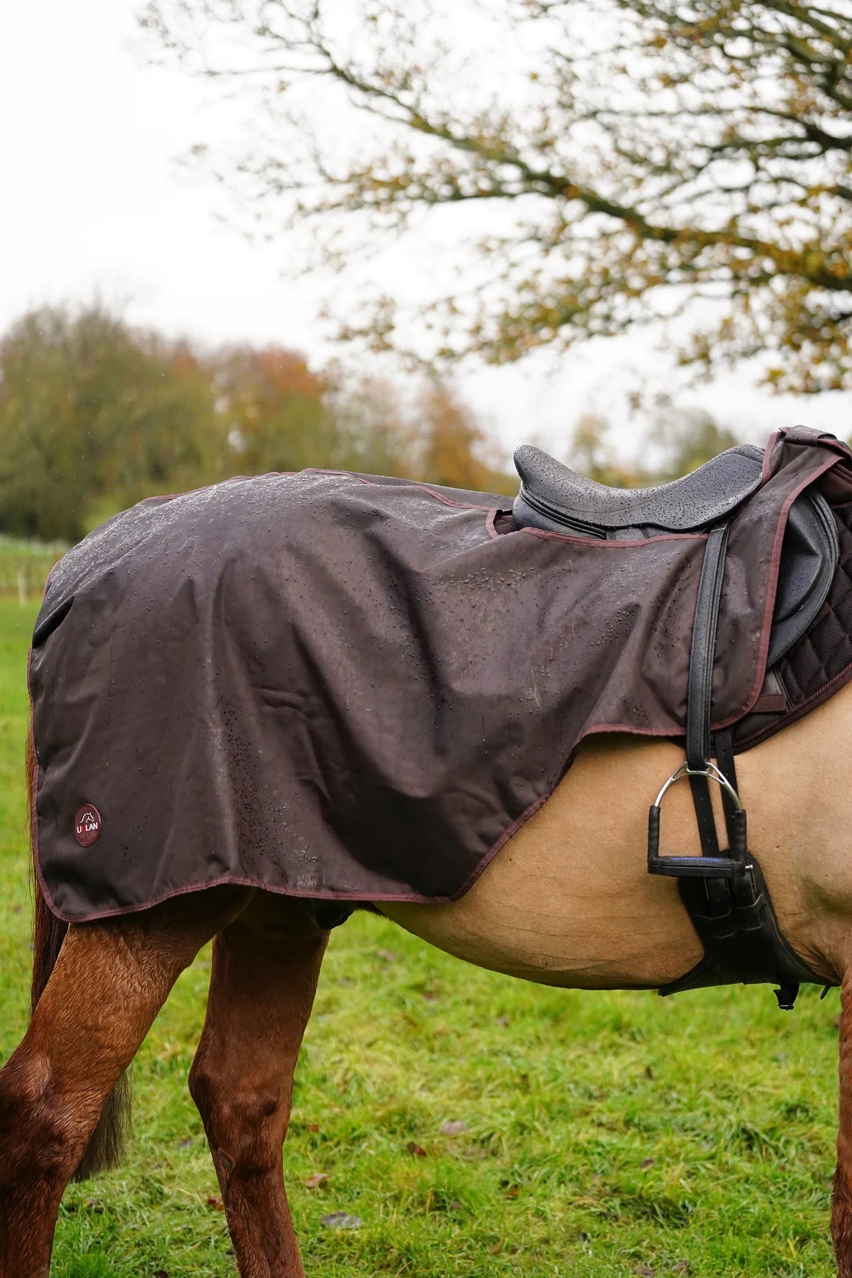 Brown waterproof exercise sheet rug