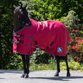 Whitaker 0g turnout rug - Red