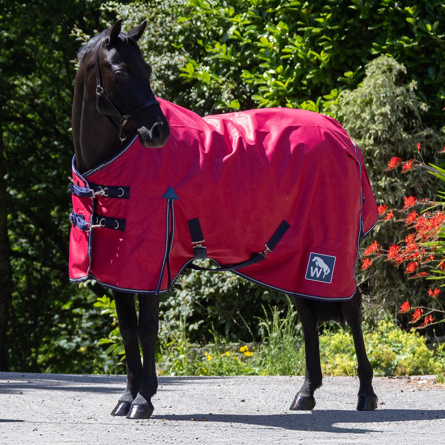 Whitaker 0g turnout rug - Red