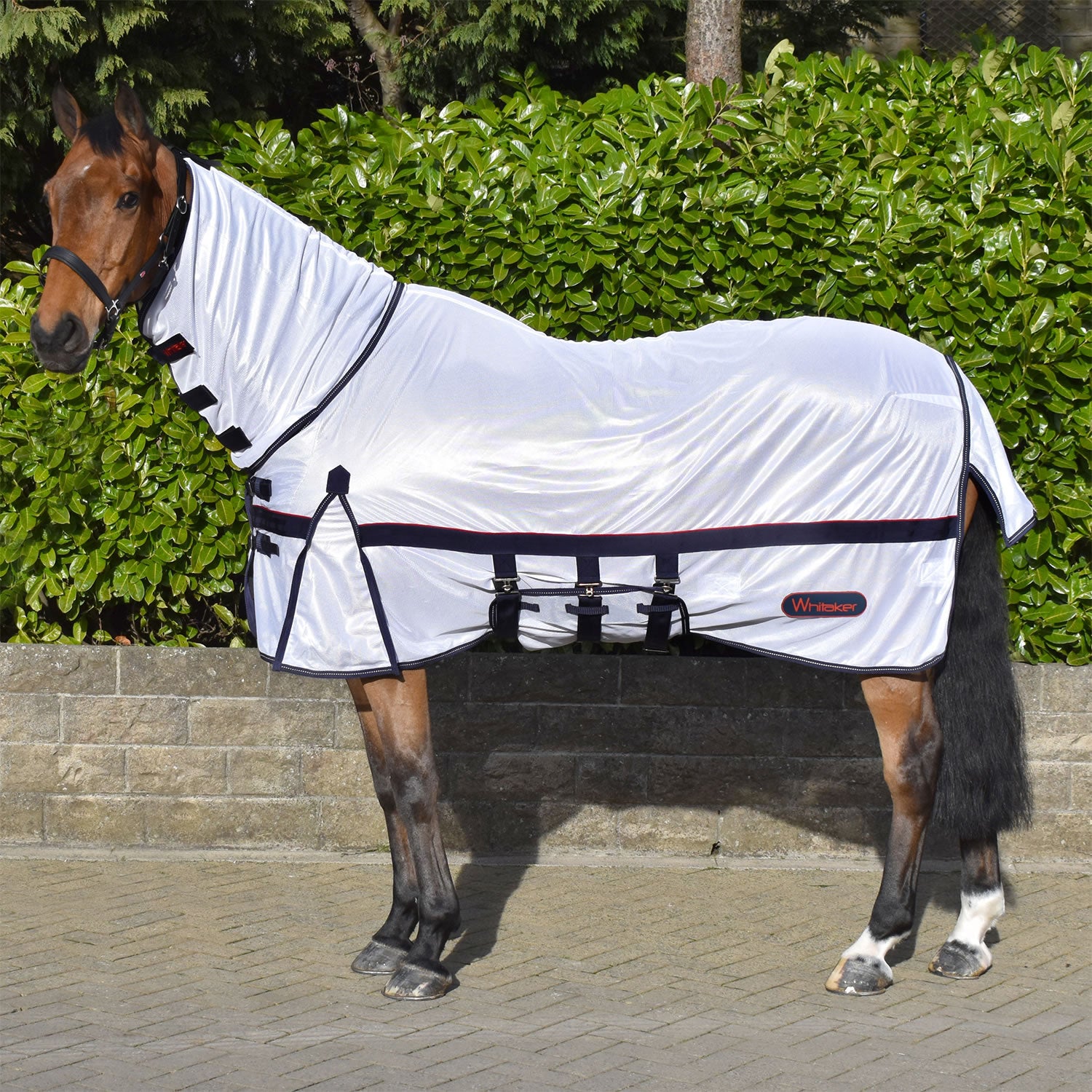 Whitaker R202 rastrick fly mesh fixed neck fly rug