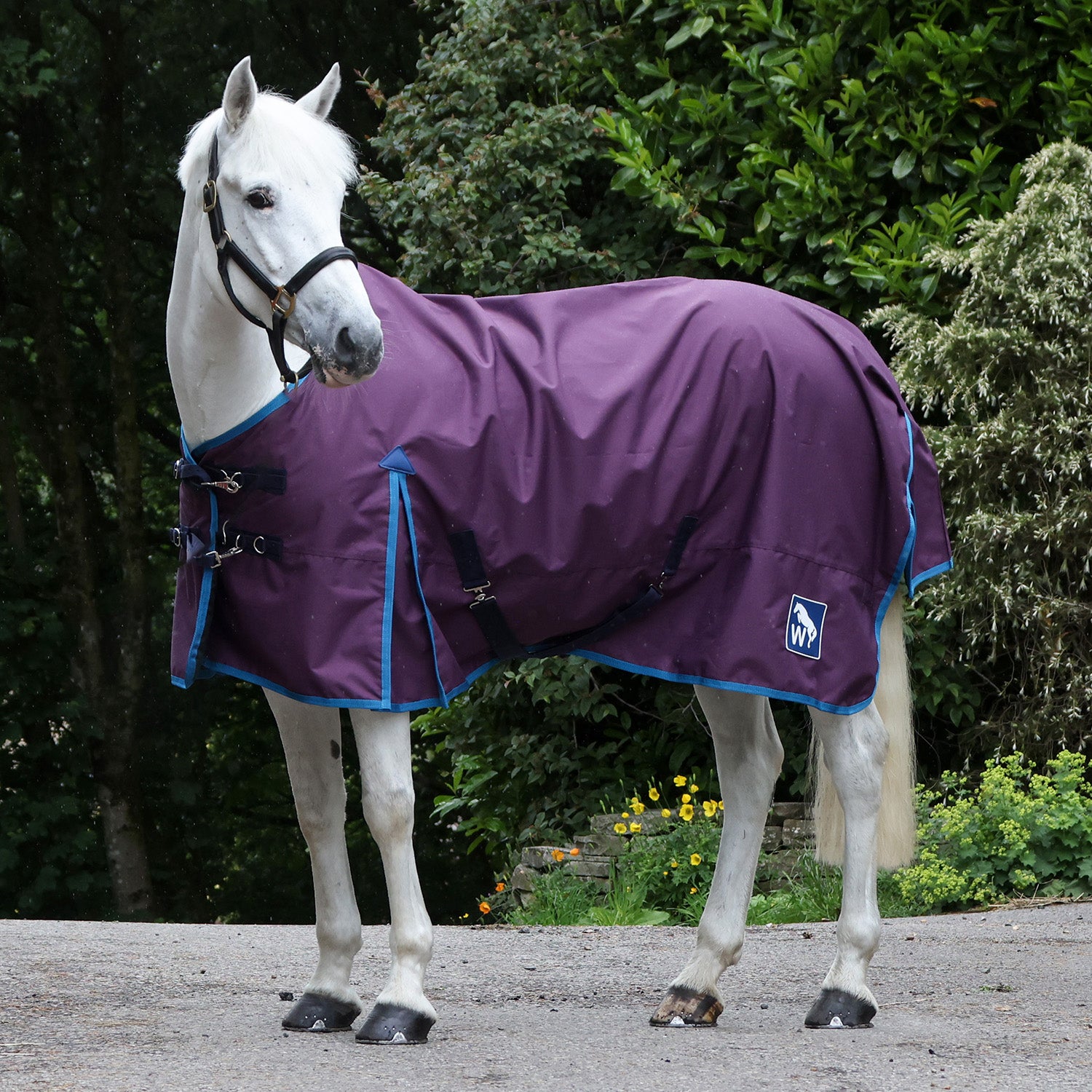 Whitaker 0g turnout rug in Plum