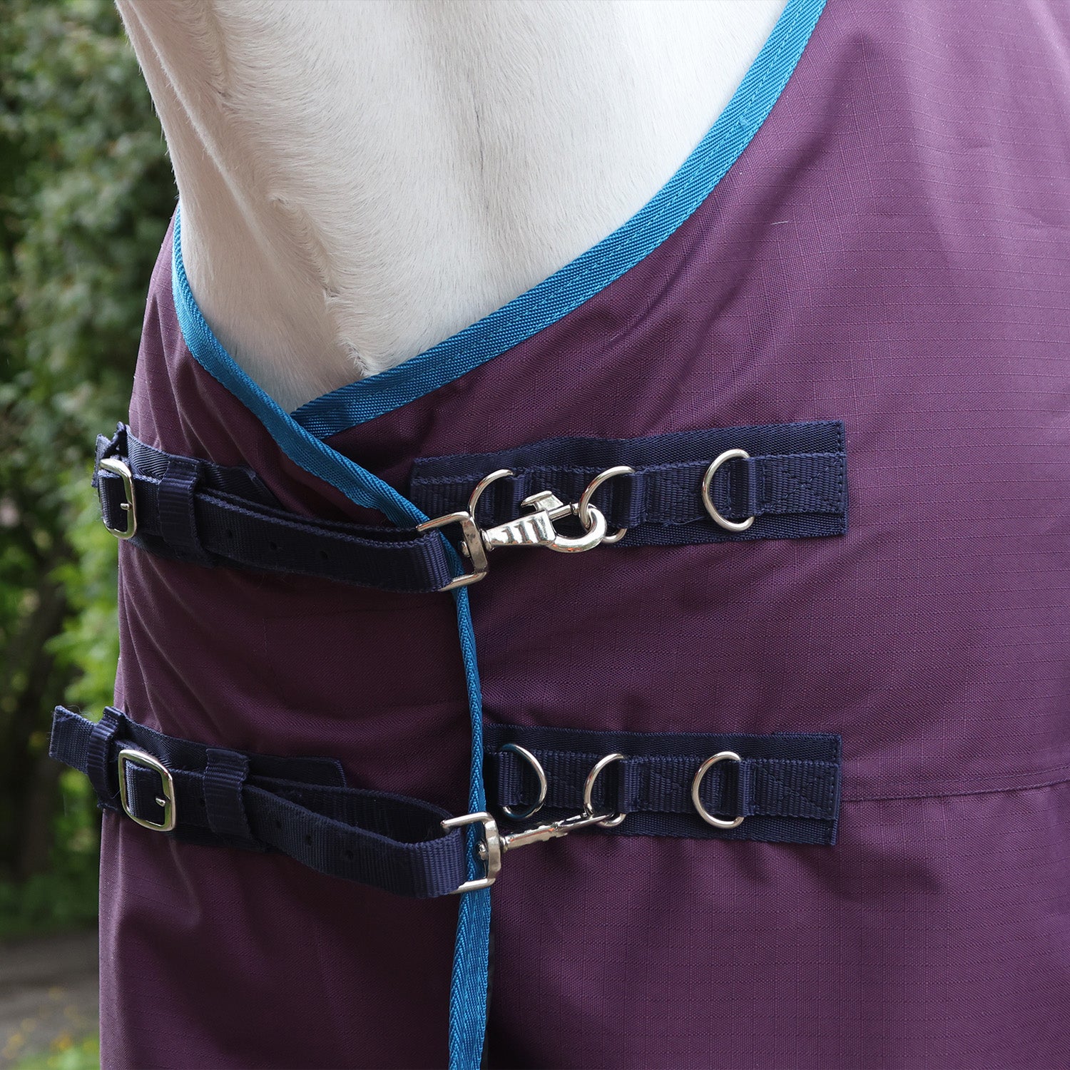 Whitaker 0g turnout rug in Plum