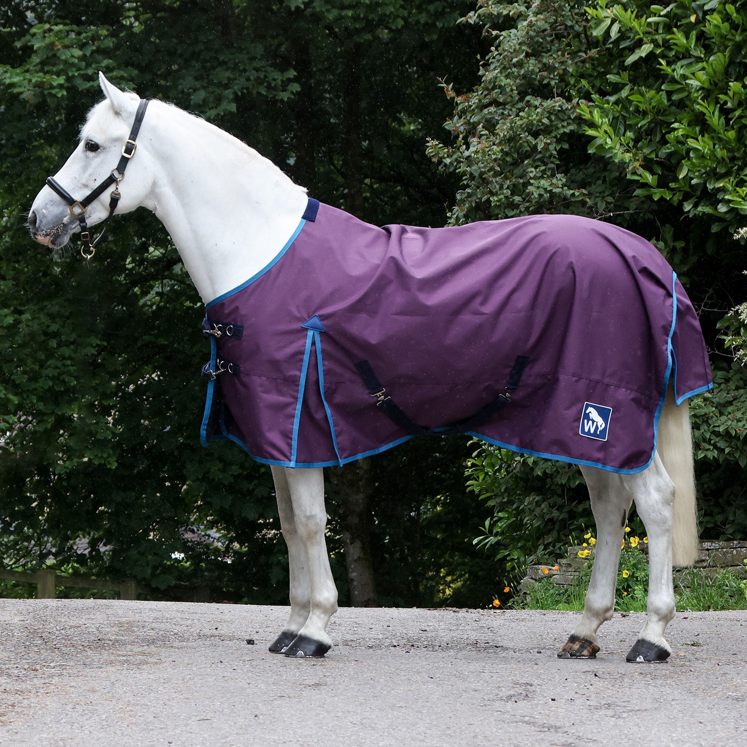 Whitaker 0g turnout rug in Plum