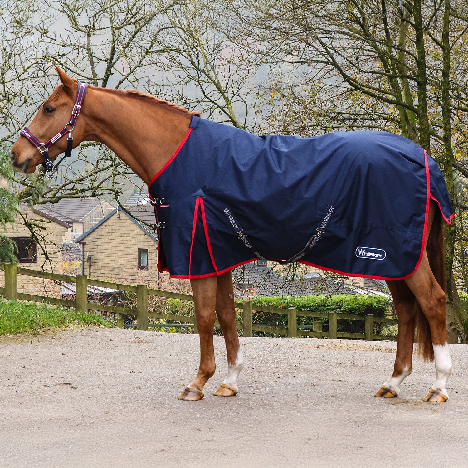 Whitaker rastrick V2 0g turnout rug
