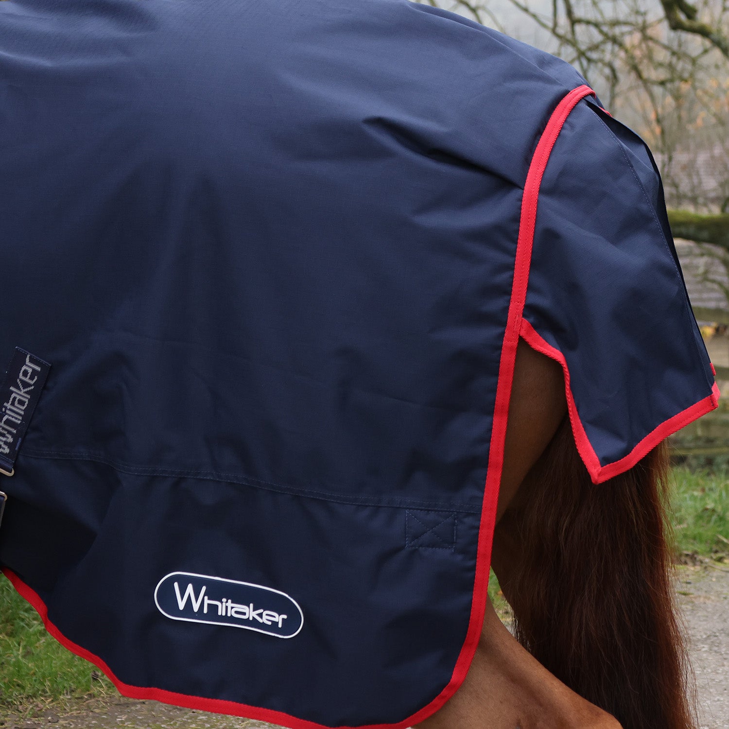 Whitaker Rastrick V2 100g turnout rug