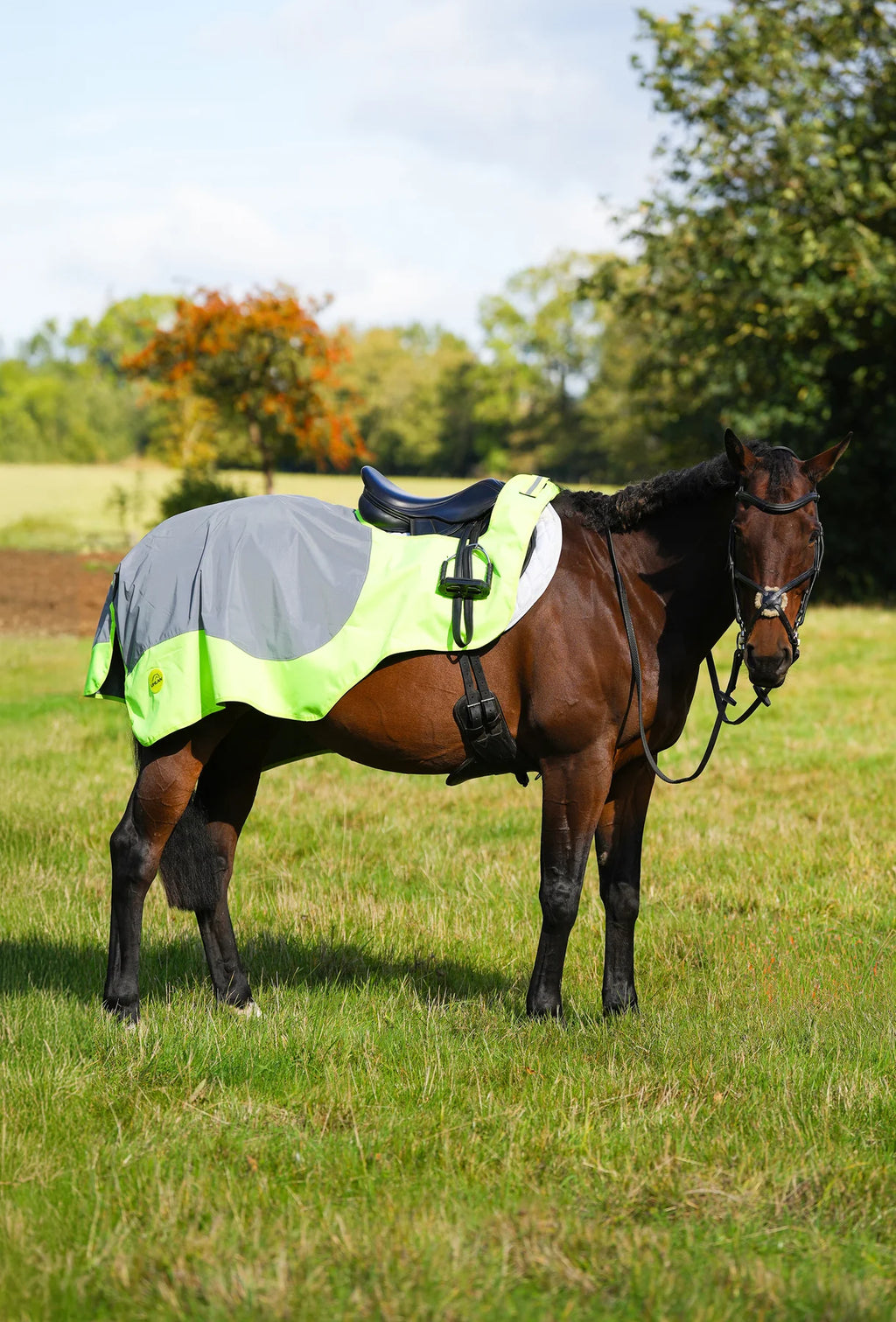 Yellow hi viz reflected waterproof exercise sheet rug