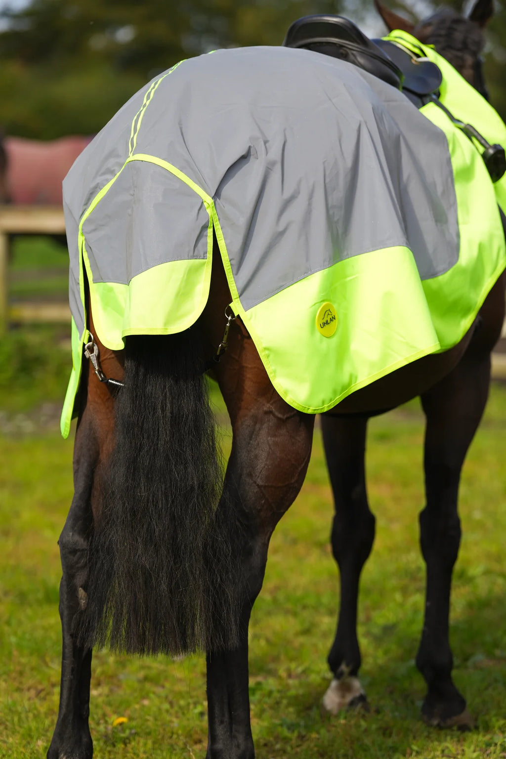 Yellow hi viz reflected waterproof exercise sheet rug