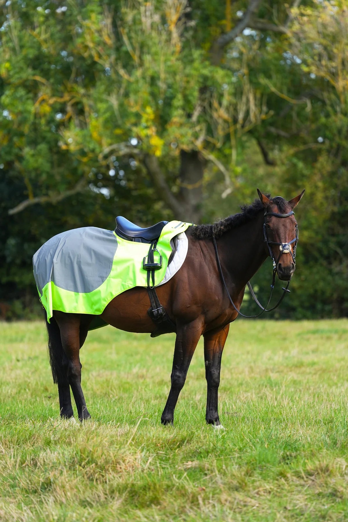 Yellow hi viz reflected waterproof exercise sheet rug