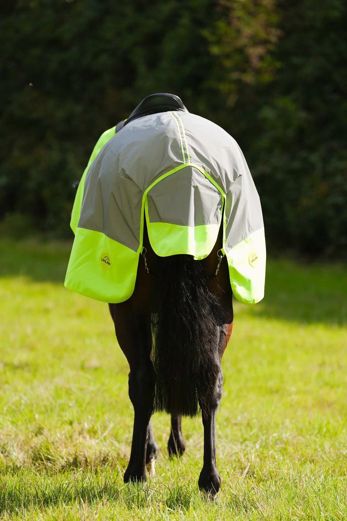 Yellow hi viz reflected waterproof exercise sheet rug