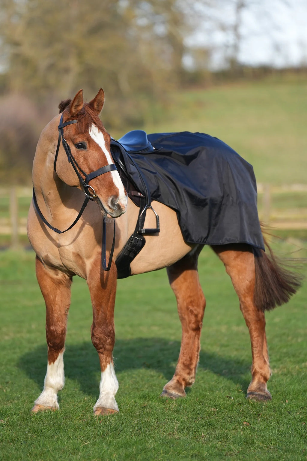 Black waterproof exercise sheet rug
