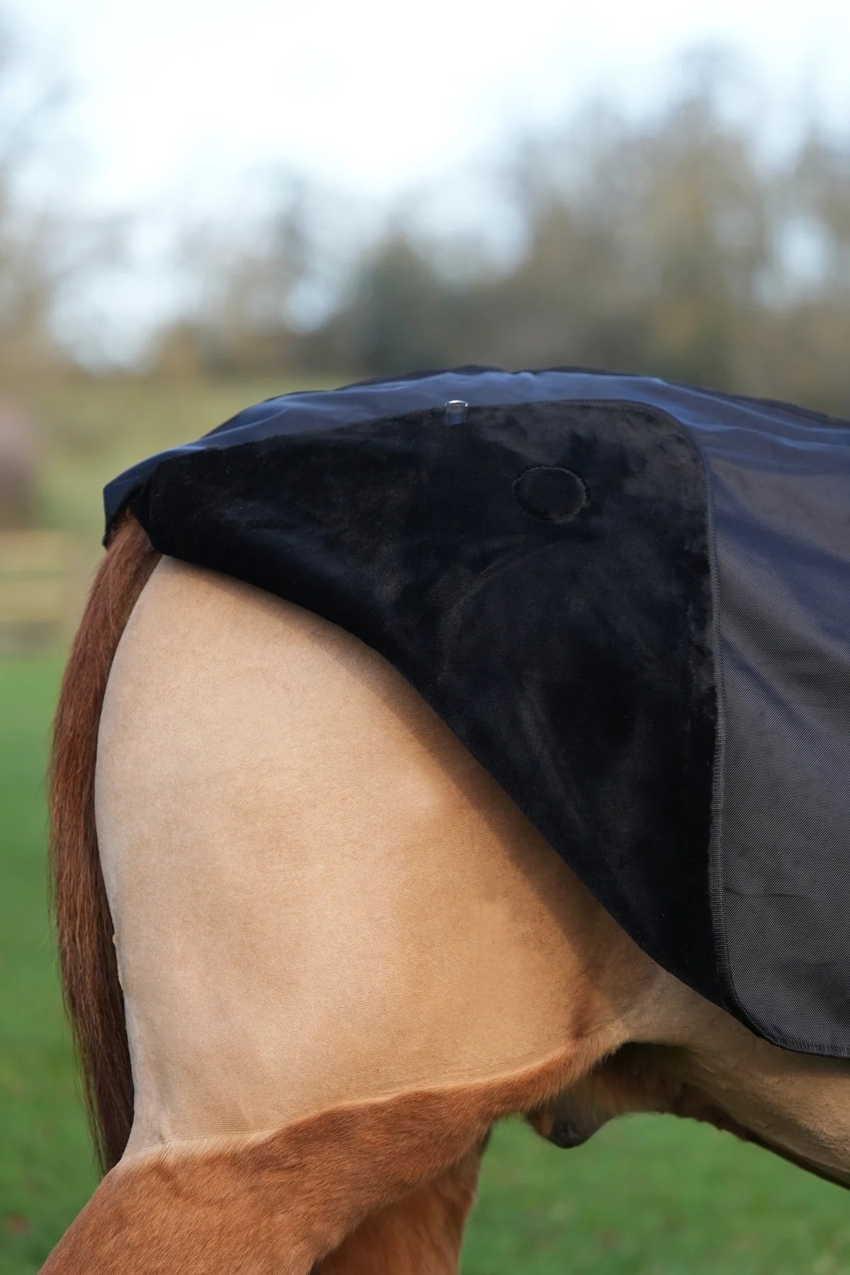 Black waterproof exercise sheet rug
