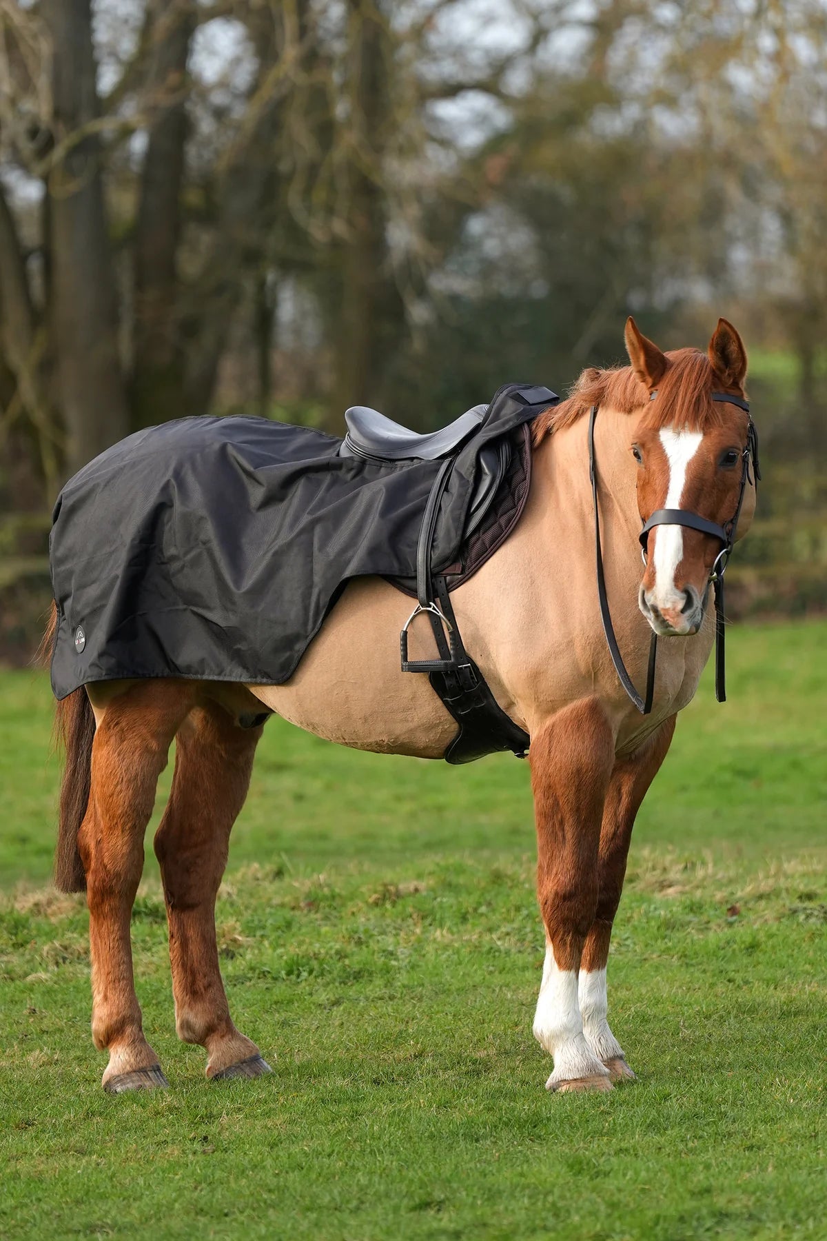 Black waterproof exercise sheet rug