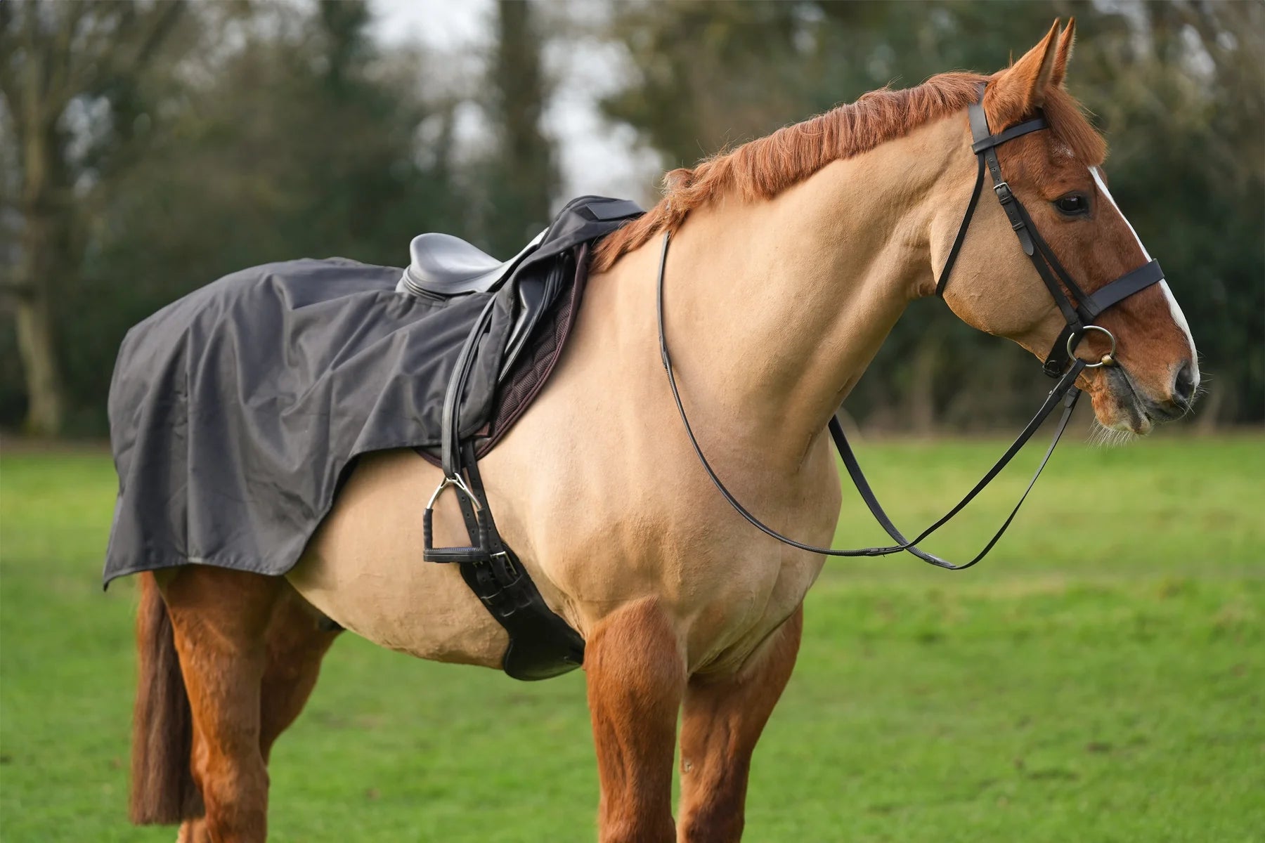 Black waterproof exercise sheet rug