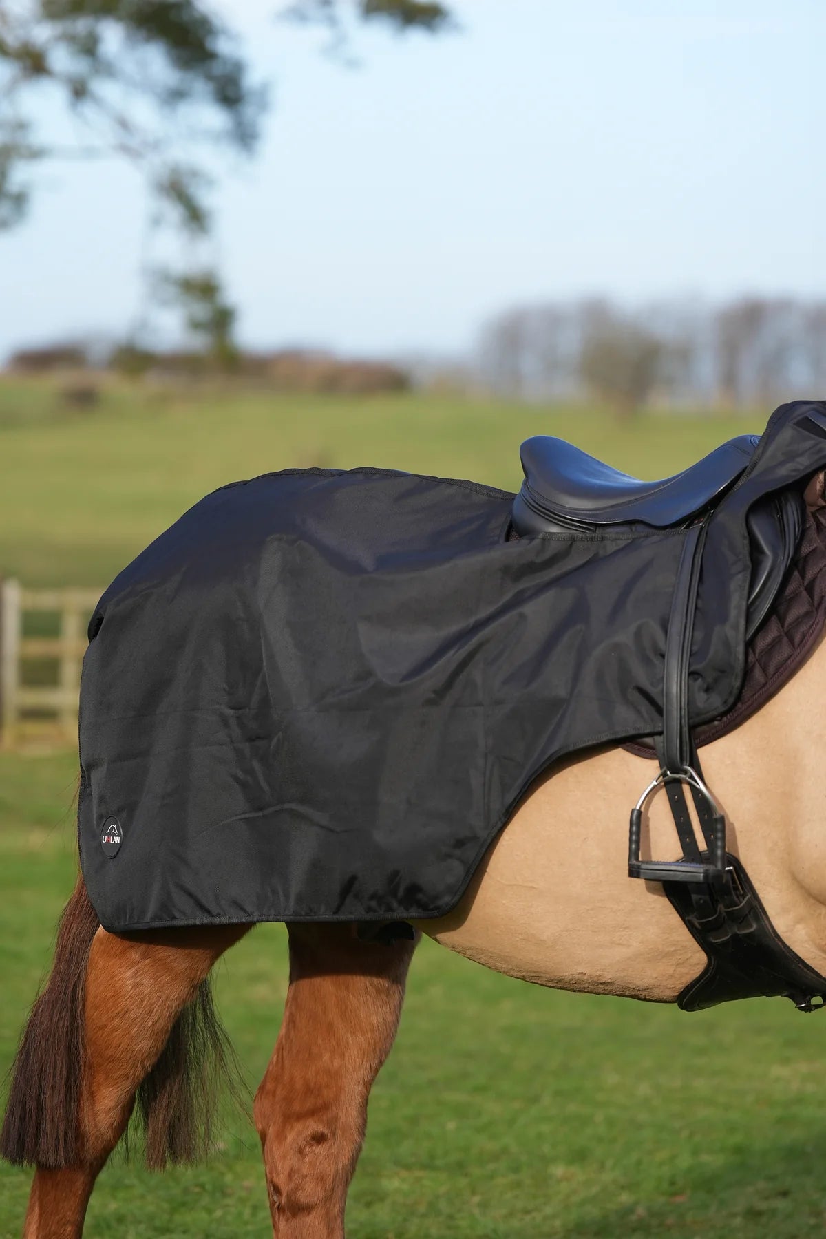 Black waterproof exercise sheet rug