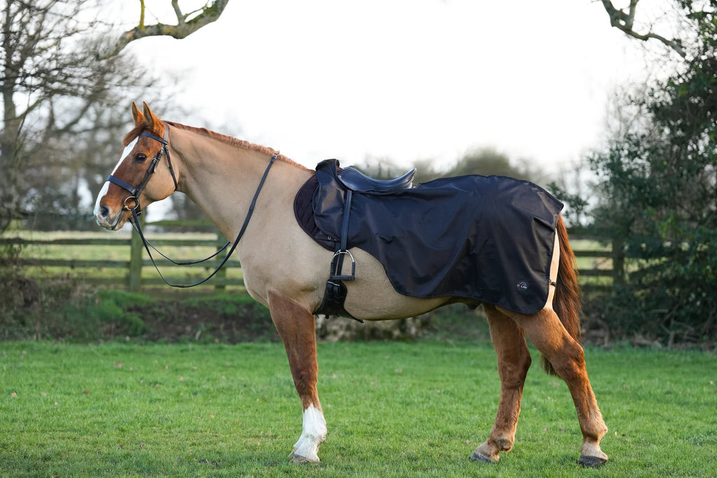 Black waterproof exercise sheet rug