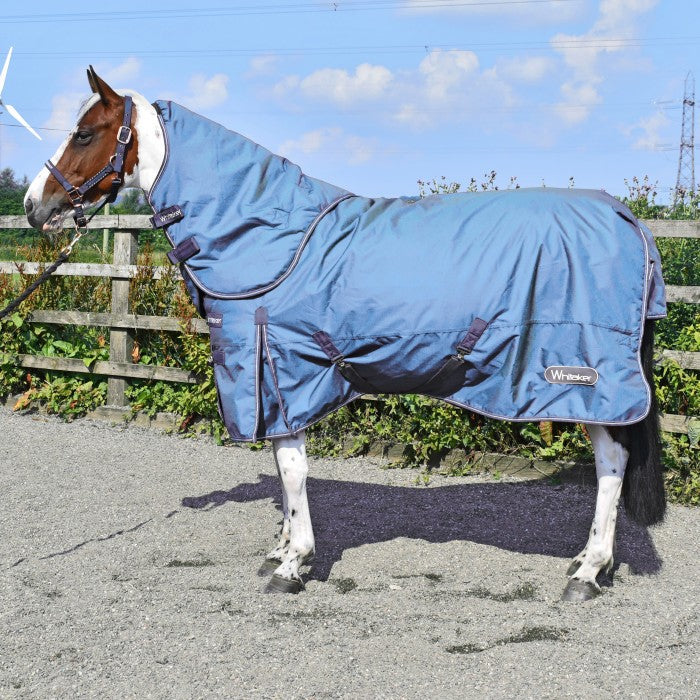 Lupin 250g combo turnout rug with detachable hood