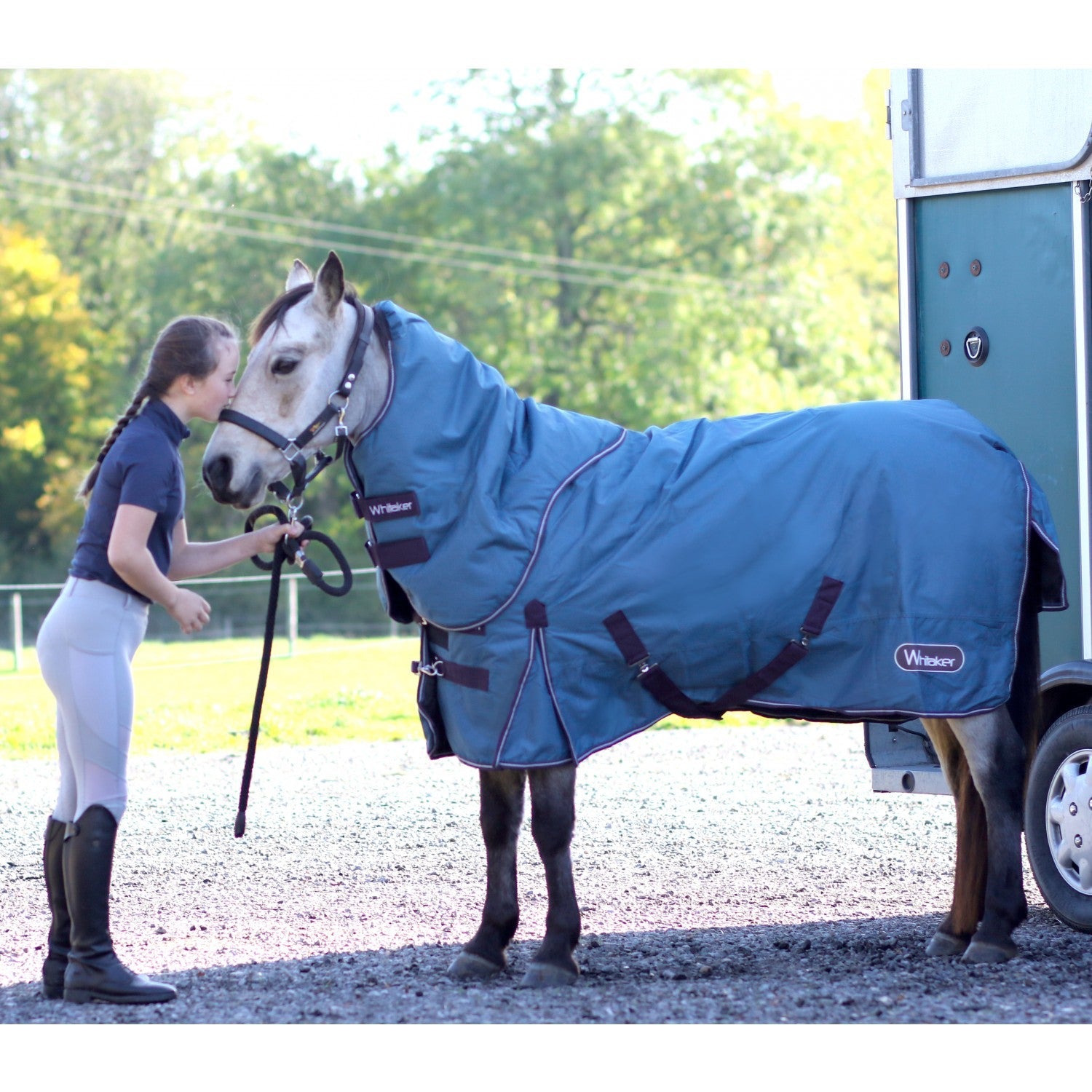 Lupin 250g combo turnout rug with detachable hood