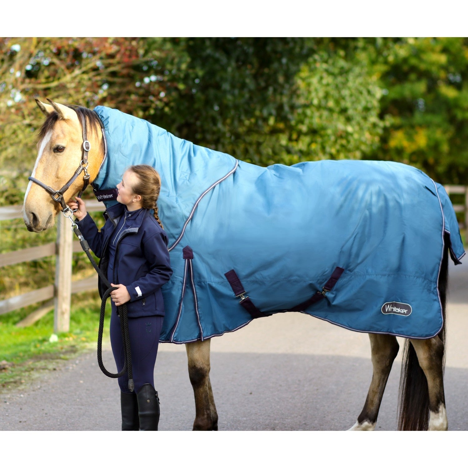 Lupin 250g combo turnout rug with detachable hood