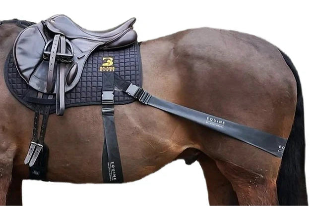 Equine Band system sport - GP / Jump