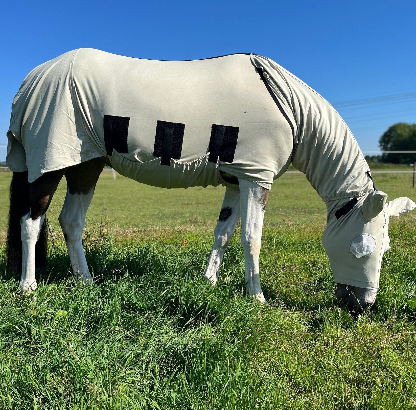 Bug body fly rug
