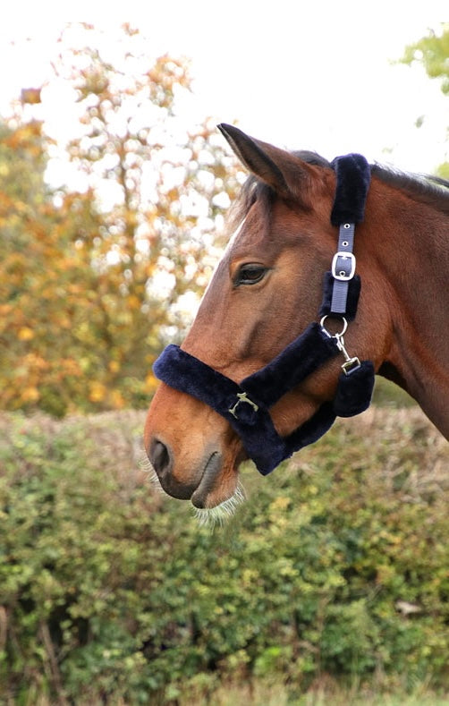 Hy Equestrian fab fleece headcollar