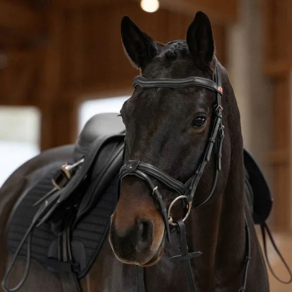 Kieffer Palmanova snaffle bridle