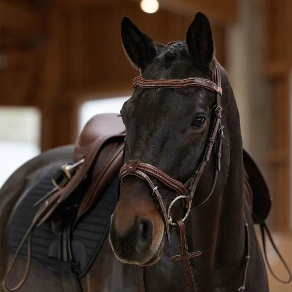 Kieffer Palmanova snaffle bridle