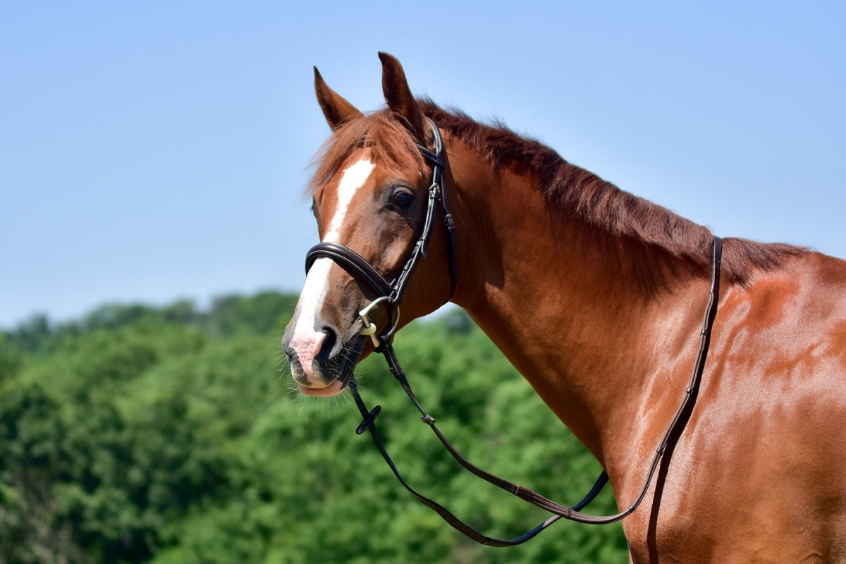 ThinLine english reins non-slip grip - Brown