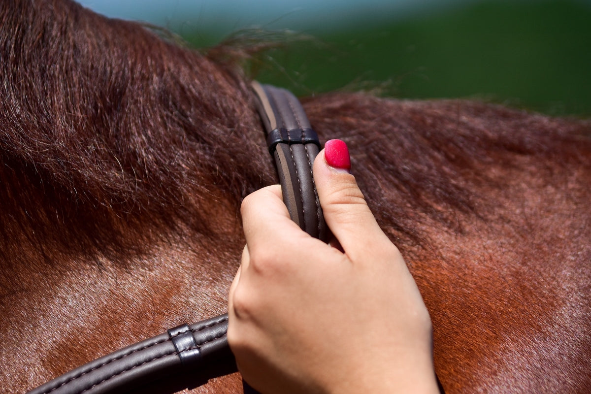 ThinLine english reins non-slip grip - Brown
