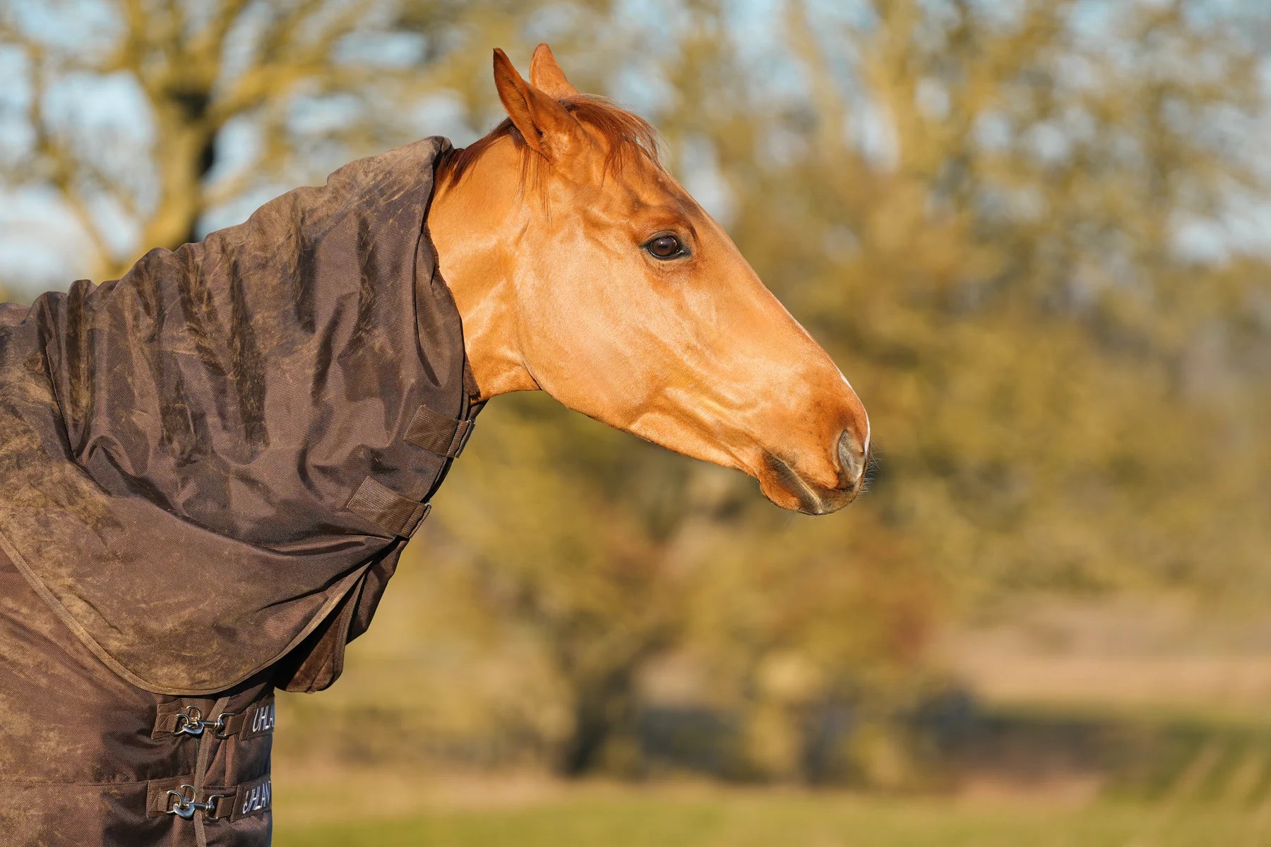 Uhlan Equestrian brown faux fur lined turnout rug 1680D