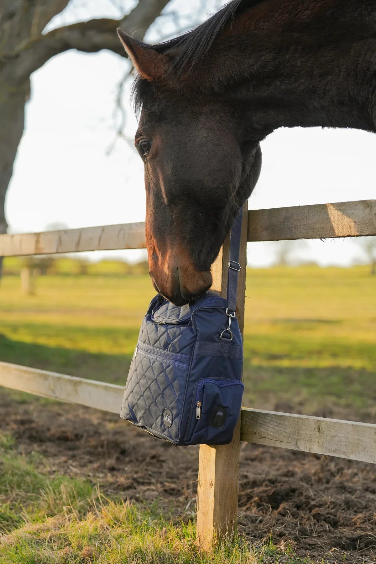 Uhlan navy grooming pro bag