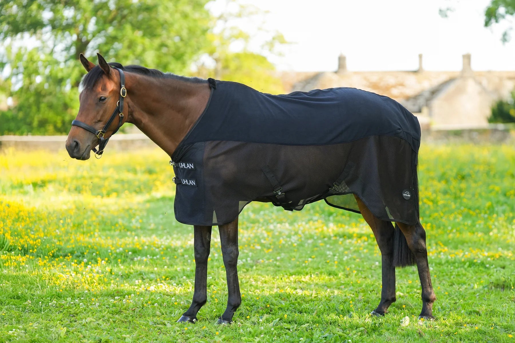 Black combi mesh airflow cooler rug